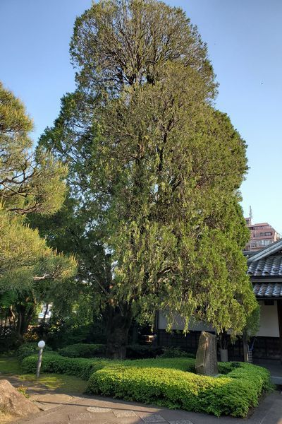 03-01_sho-o-ji_04.jpg