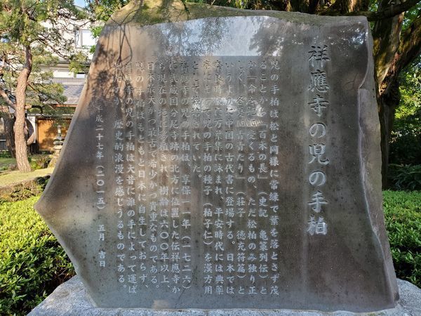 03-01_sho-o-ji_05.jpg