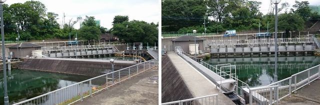 20190621_josui-walk_w_05.jpg