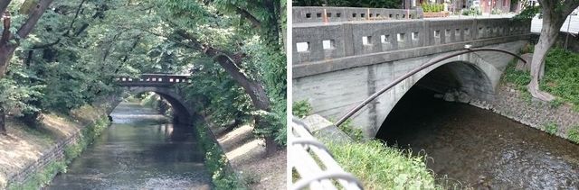 20190621_josui-walk_w_10.jpg