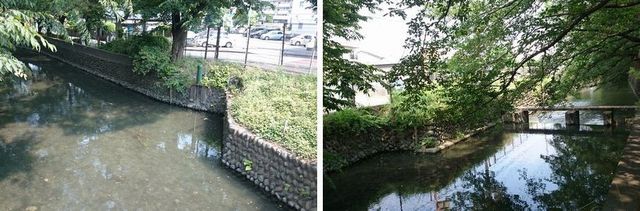 20190621_josui-walk_w_11.jpg
