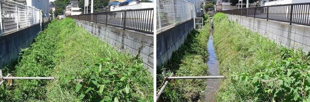 20190727_yamamomo_w_01.jpg