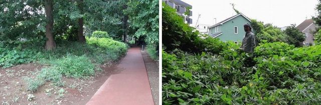20190904_koigakubo_w_01.jpg