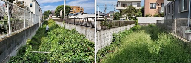 20190917_yamamomo_w_01.jpg