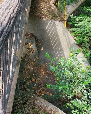20190926_josui-walk_02.jpg