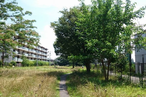 20190926_josui-walk_04.jpg