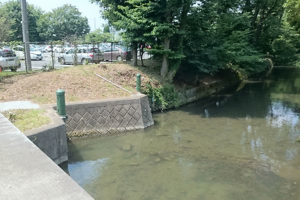 20190926_josui-walk_06.jpg