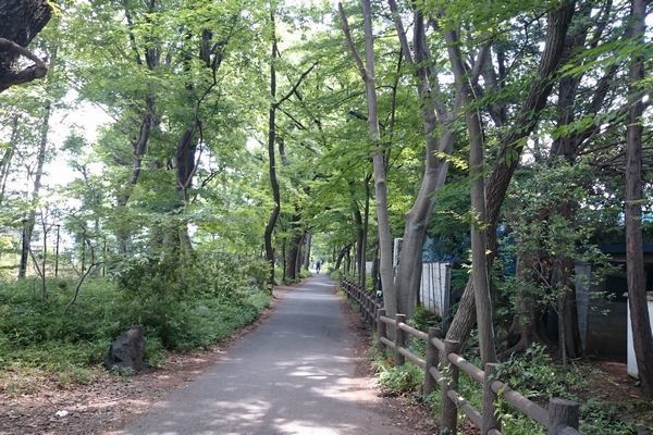 20190926_josui-walk_08.jpg