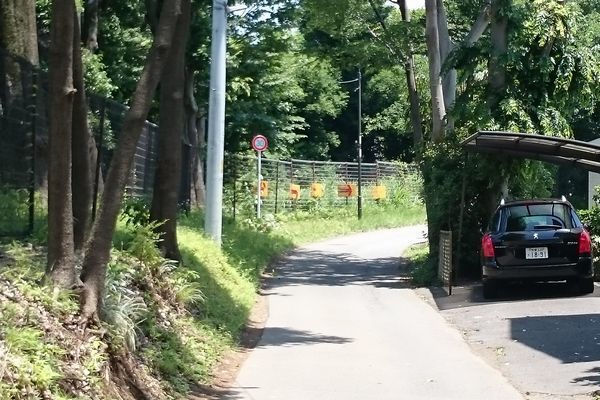 20190926_josui-walk_16.jpg