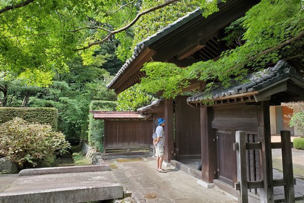 20190926_josui-walk_22.jpg
