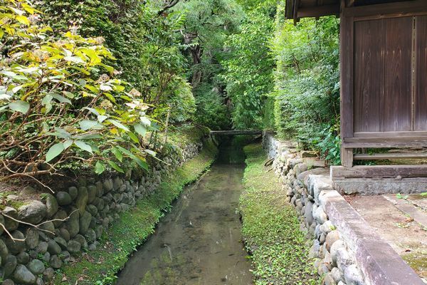 20190926_josui-walk_23.jpg