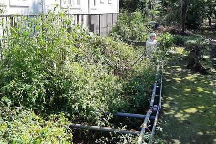20190928_koen-nishi_03.jpg