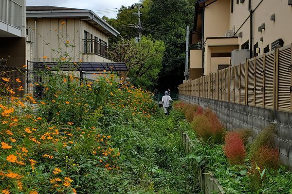 20191007_kitamachi_02.jpg