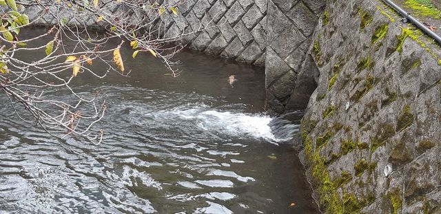 20191027_motomachi_01.jpg