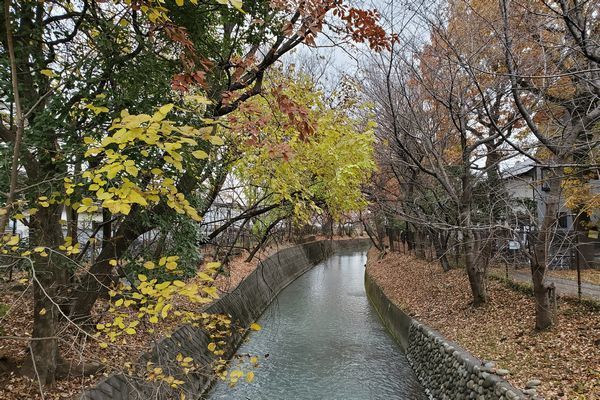 20191219_josui-walk_01.jpg