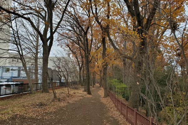 20191219_josui-walk_08.jpg