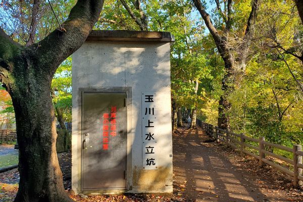 20191219_josui-walk_23.jpg