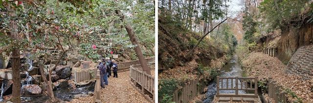 20191219_josui-walk_w_06.jpg