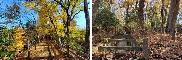 20191219_josui-walk_w_17.jpg