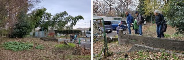 20191219_josui-walk_w_19.jpg
