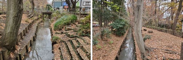 20191219_josui-walk_w_21.jpg