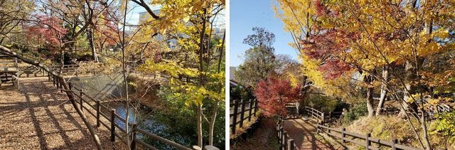 20191219_josui-walk_w_25.jpg