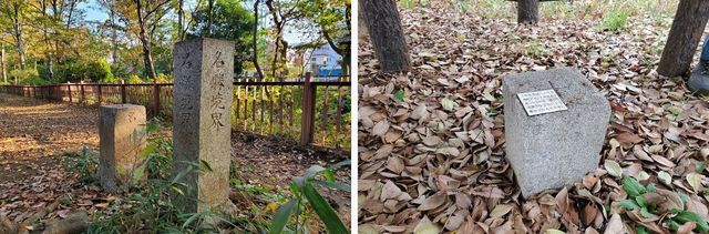 20191219_josui-walk_w_27.jpg