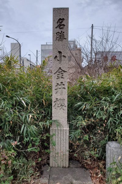 20200227_josui-walk_14.jpg