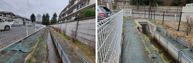 20200227_josui-walk_w_06.jpg