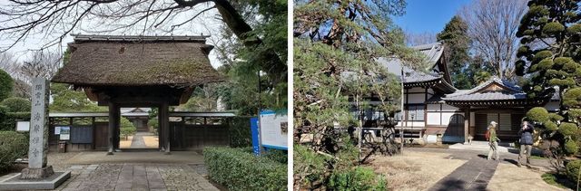 20200227_josui-walk_w_16.jpg