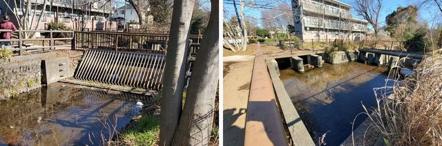 20200227_josui-walk_w_34.jpg