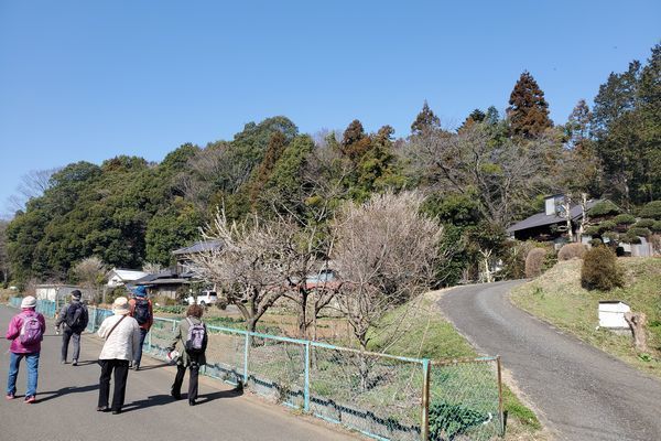 20200229_onoji_01.jpg