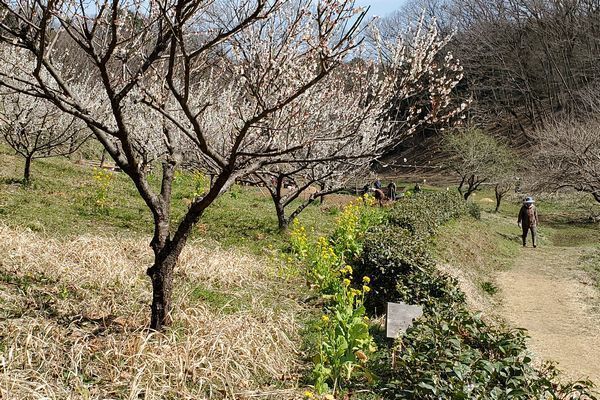 20200229_onoji_05.jpg