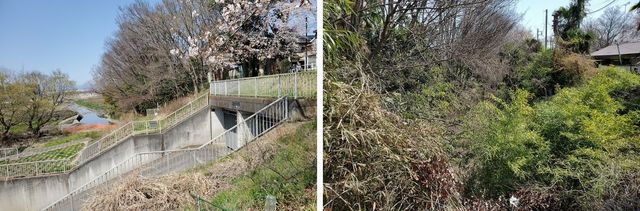 20200326_fuchu_w_01.jpg