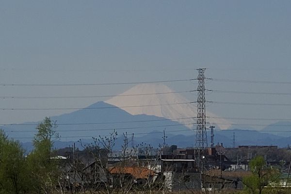 20200326_negawa_07.jpg