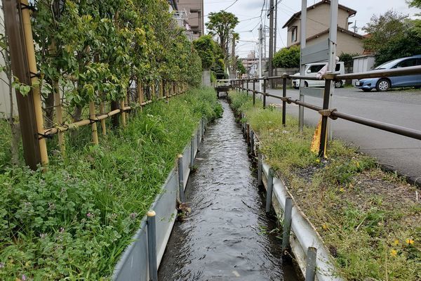 20200421_kodaira_09.jpg