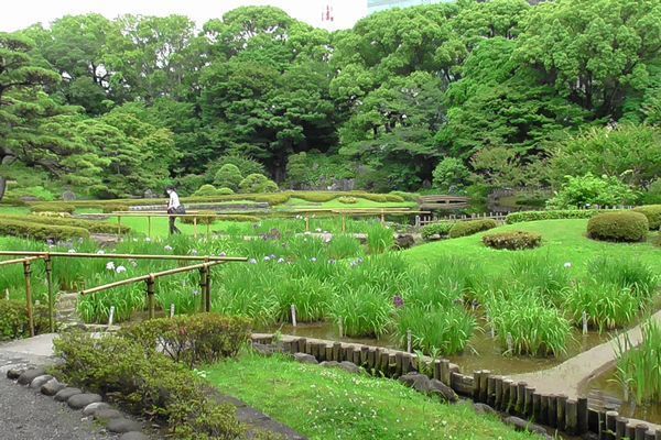 20200623_higashi-gyoen_20.jpg