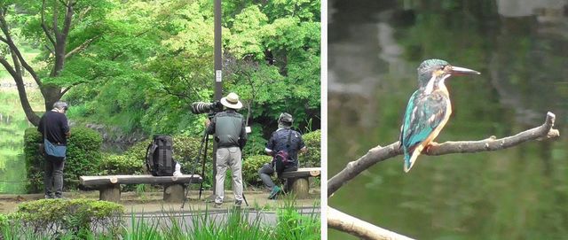 20200810_yakushi_w_08.jpg