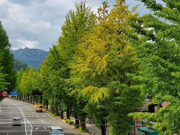 20200929_takao_11.jpg