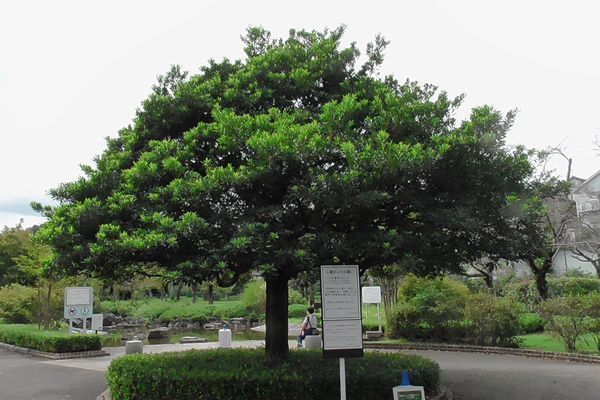 20200929_takao_16.jpg
