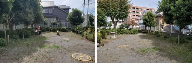 20201016_yamamomo_w_05.jpg