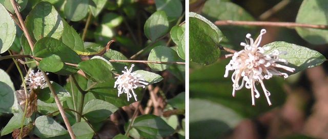 20201020_naganuma_w_37.jpg