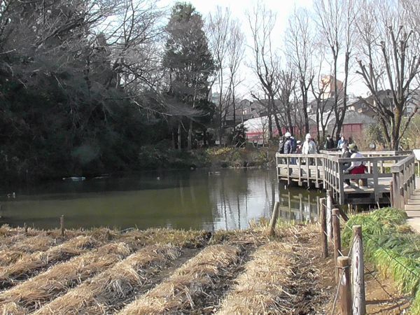 20210207_sugatami_06.jpg
