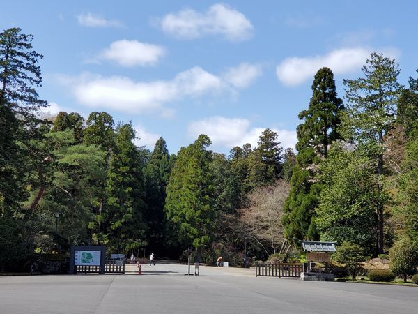 20210329_sakura_03.jpg