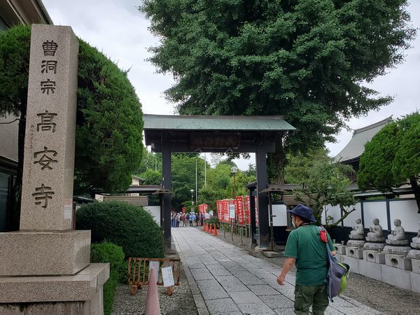20220623_tamani-walk_05.jpg