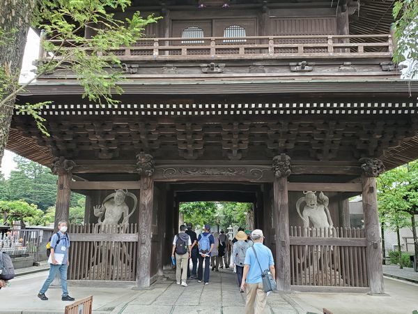 20220623_tamani-walk_06.jpg