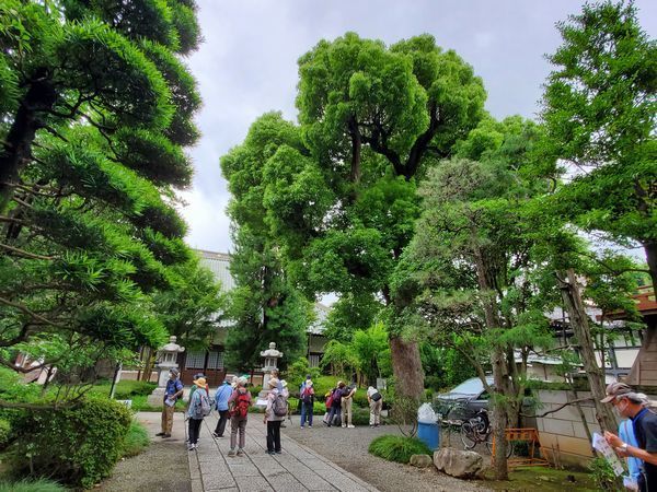20220623_tamani-walk_07.jpg
