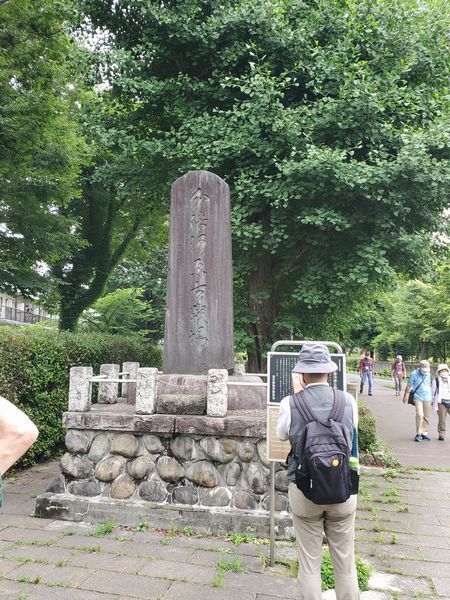 20220623_tamani-walk_10.jpg