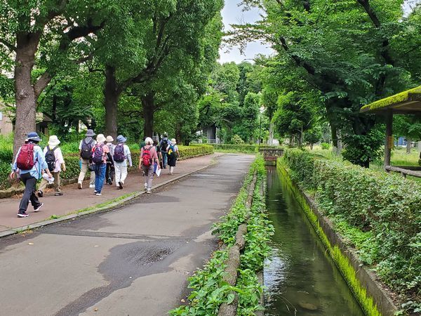 20220623_tamani-walk_12.jpg