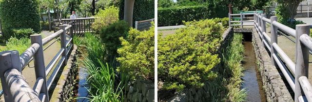 20220625_kominkan_w_08.jpg